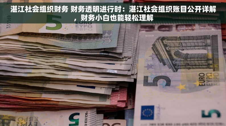 湛江社会组织财务 财务透明进行时：湛江社会组织账目公开详解，财务小白也能轻松理解