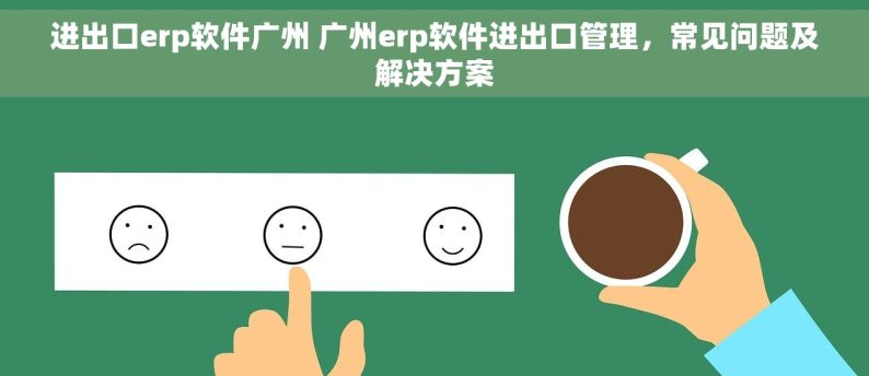 进出口erp软件广州 广州erp软件进出口管理，常见问题及解决方案
