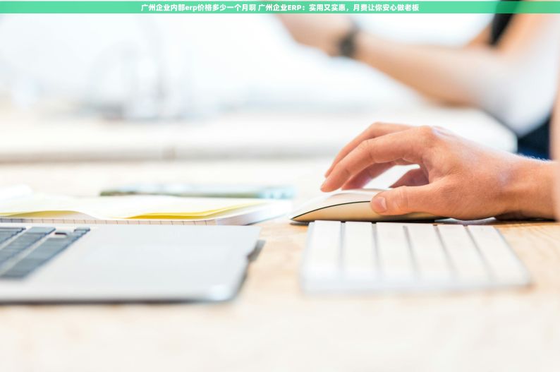 广州企业内部erp价格多少一个月啊 广州企业ERP：实用又实惠，月费让你安心做老板