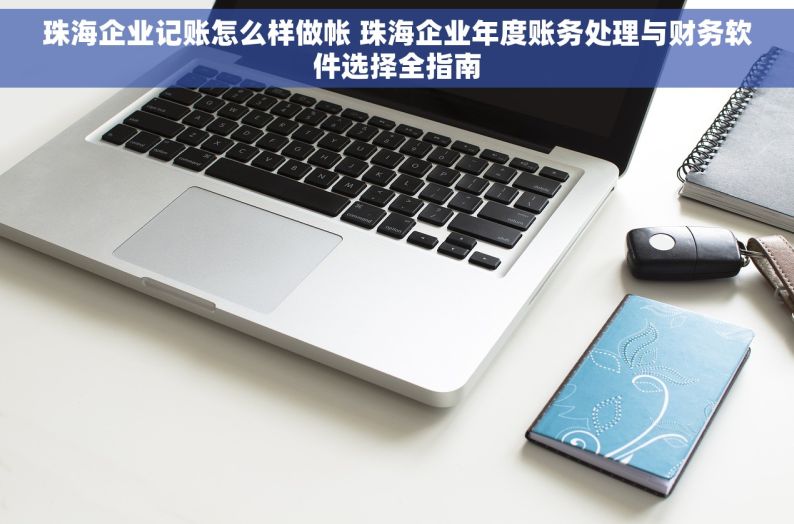 珠海企业记账怎么样做帐 珠海企业年度账务处理与财务软件选择全指南