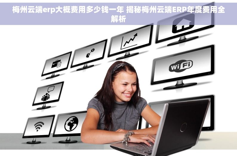 梅州云端erp大概费用多少钱一年 揭秘梅州云端ERP年度费用全解析
