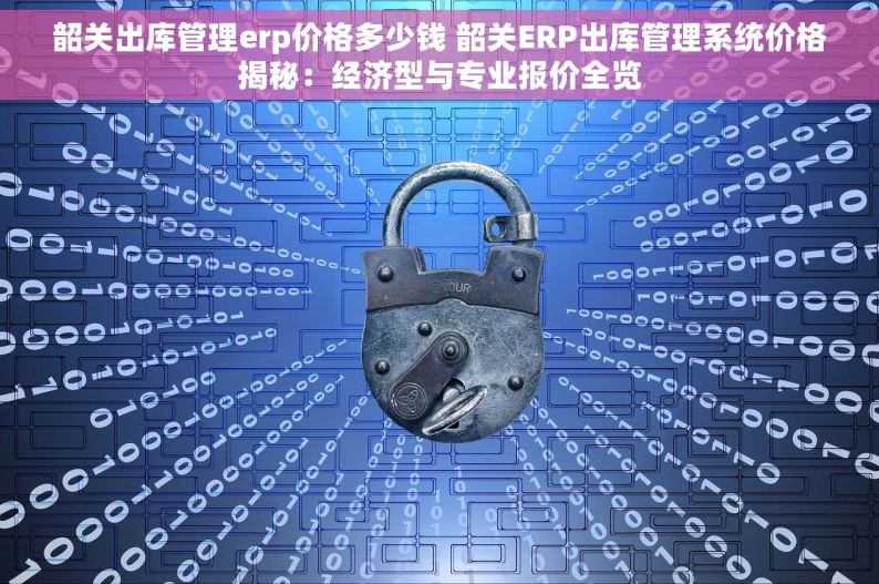 韶关出库管理erp价格多少钱 韶关ERP出库管理系统价格揭秘：经济型与专业报价全览