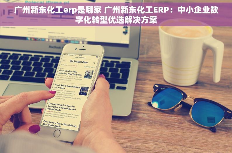广州新东化工erp是哪家 广州新东化工ERP：中小企业数字化转型优选解决方案