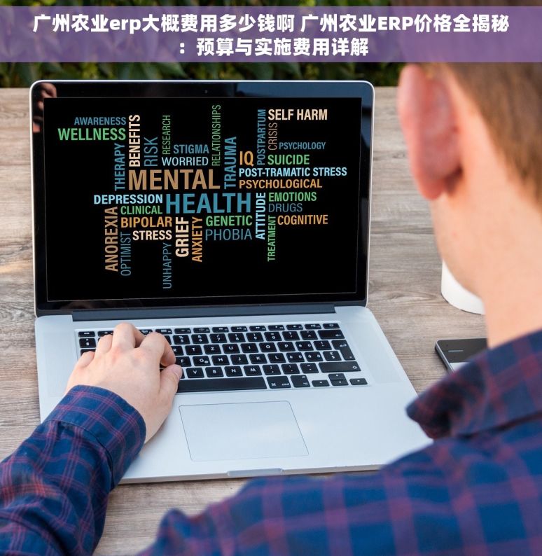 广州农业erp大概费用多少钱啊 广州农业ERP价格全揭秘：预算与实施费用详解