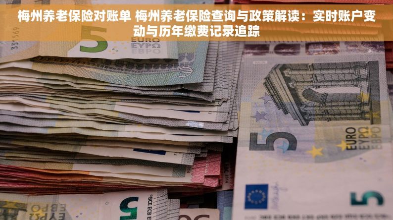 梅州养老保险对账单 梅州养老保险查询与政策解读：实时账户变动与历年缴费记录追踪