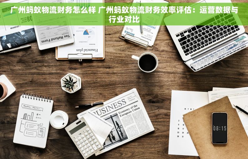 广州蚂蚁物流财务怎么样 广州蚂蚁物流财务效率评估：运营数据与行业对比