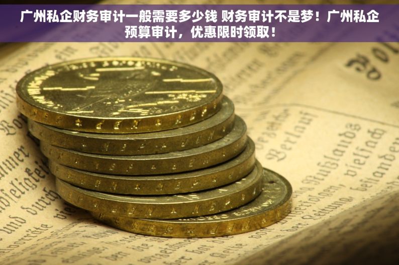 广州私企财务审计一般需要多少钱 财务审计不是梦！广州私企预算审计，优惠限时领取！