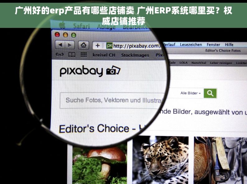 广州好的erp产品有哪些店铺卖 广州ERP系统哪里买？权威店铺推荐