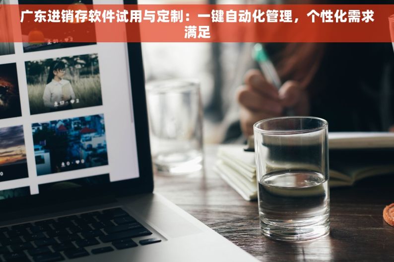 广东进销存软件试用与定制：一键自动化管理，个性化需求满足