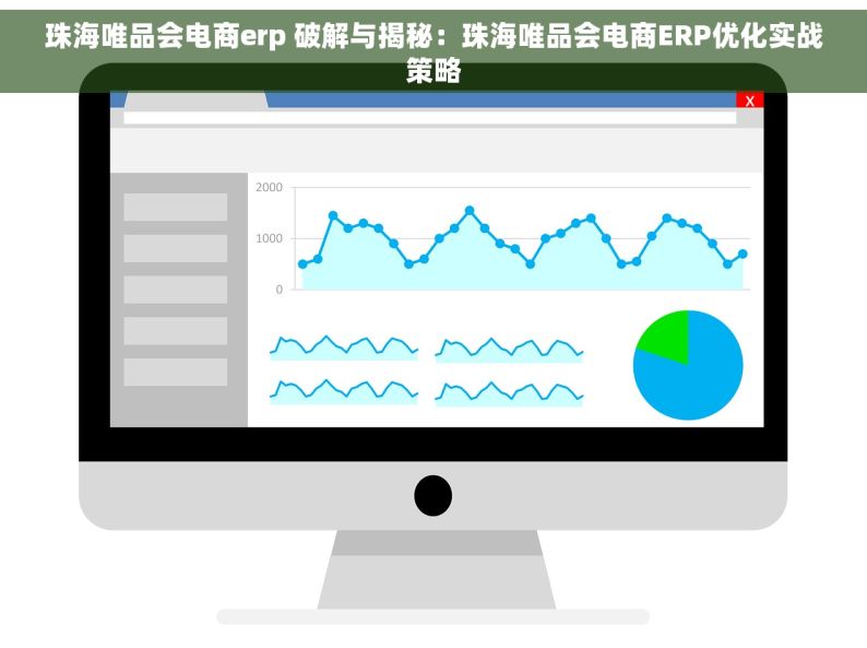 珠海唯品会电商erp 破解与揭秘：珠海唯品会电商ERP优化实战策略
