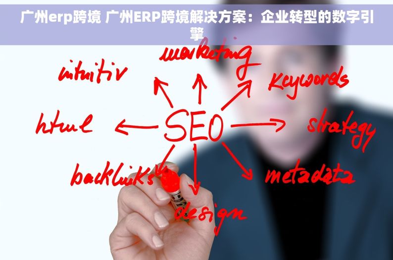 广州erp跨境 广州ERP跨境解决方案：企业转型的数字引擎