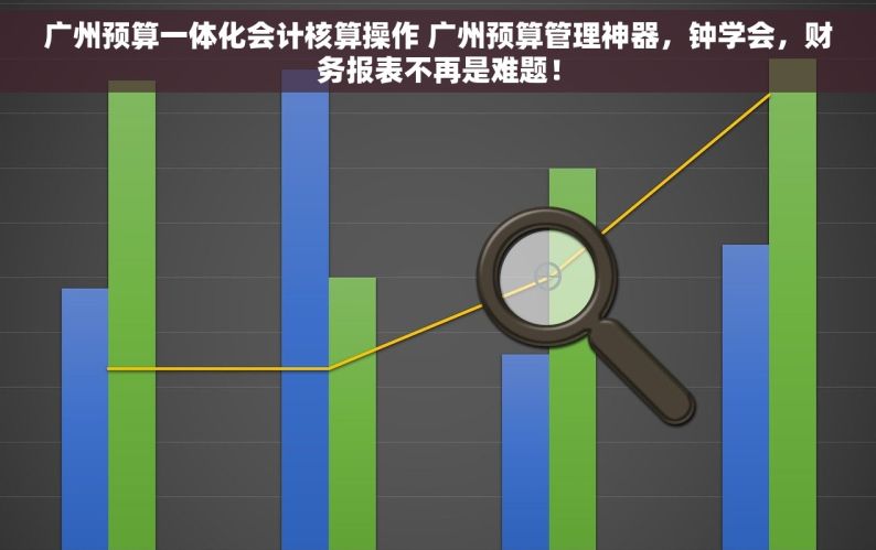 广州预算一体化会计核算操作 广州预算管理神器，钟学会，财务报表不再是难题！