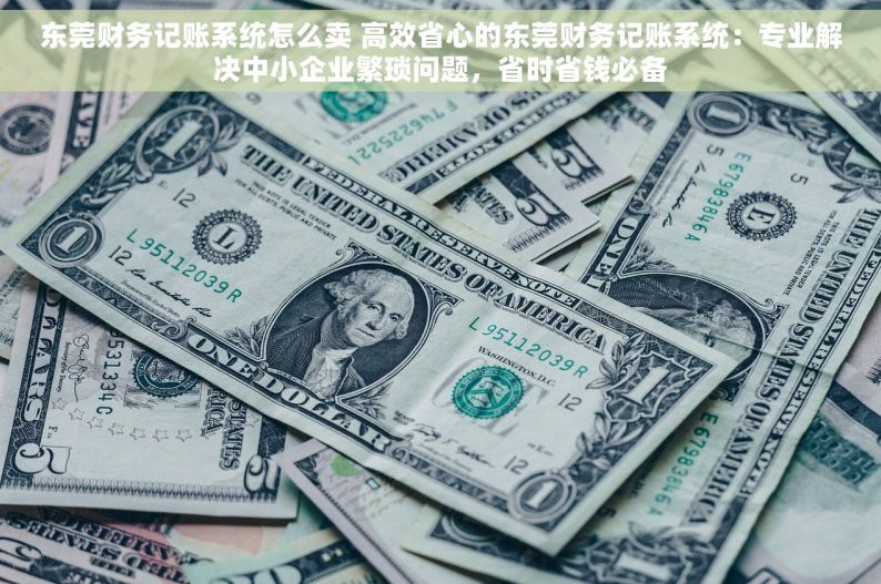 东莞财务记账系统怎么卖 高效省心的东莞财务记账系统：专业解决中小企业繁琐问题，省时省钱必备