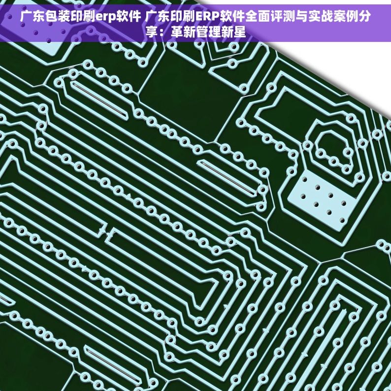 广东包装印刷erp软件 广东印刷ERP软件全面评测与实战案例分享：革新管理新星