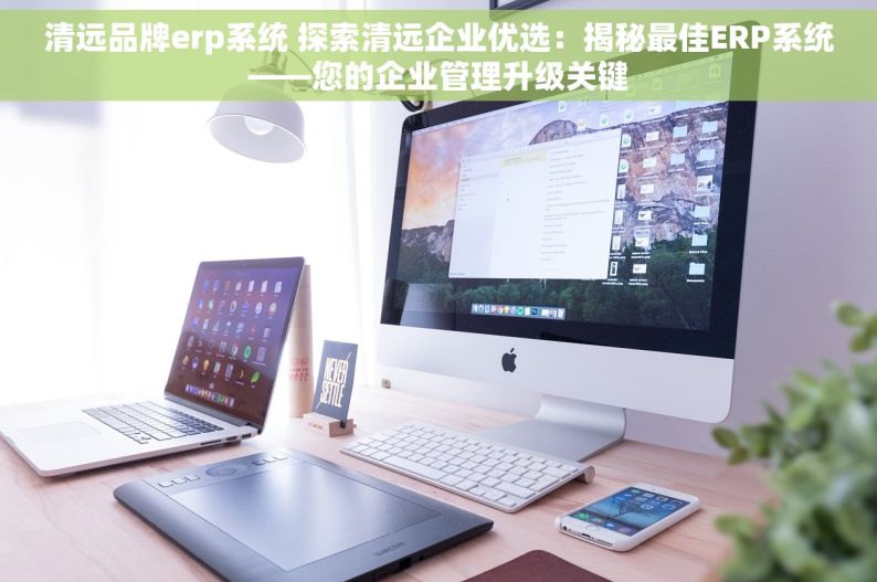 清远品牌erp系统 探索清远企业优选：揭秘最佳ERP系统——您的企业管理升级关键