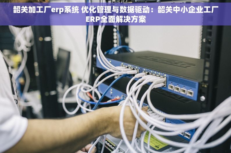 韶关加工厂erp系统 优化管理与数据驱动：韶关中小企业工厂ERP全面解决方案