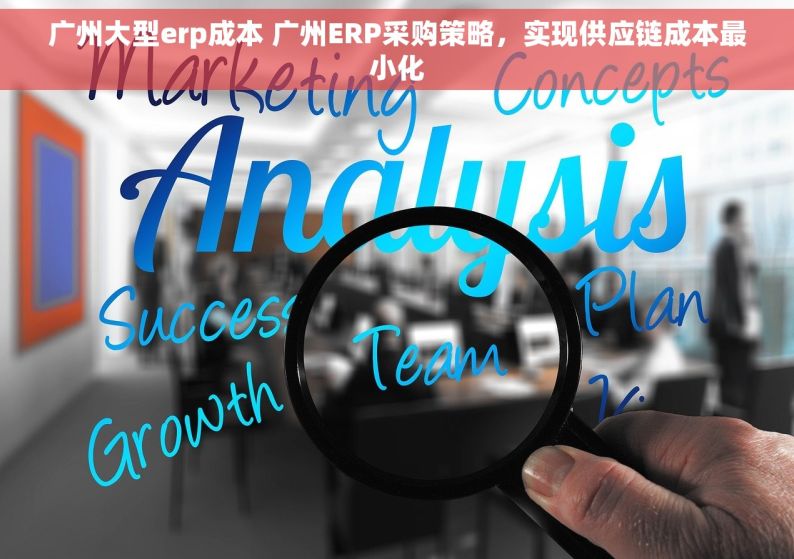 广州大型erp成本 广州ERP采购策略，实现供应链成本最小化