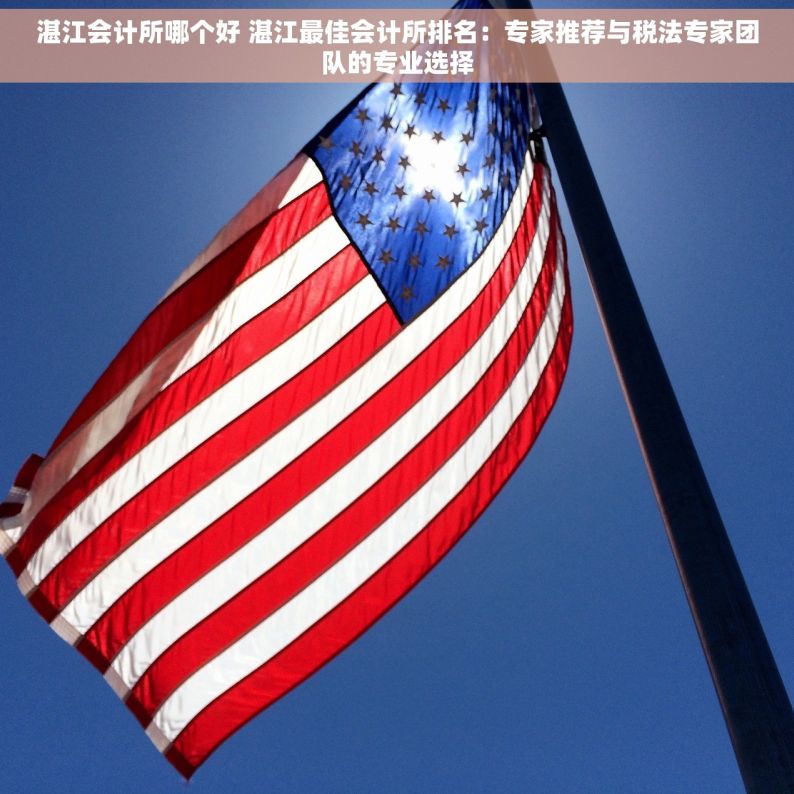 湛江会计所哪个好 湛江最佳会计所排名：专家推荐与税法专家团队的专业选择