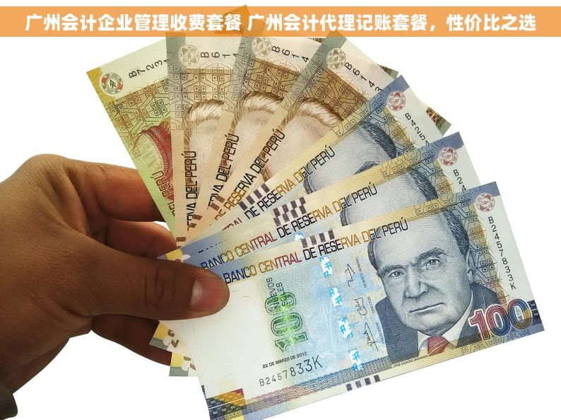 广州会计企业管理收费套餐 广州会计代理记账套餐，性价比之选