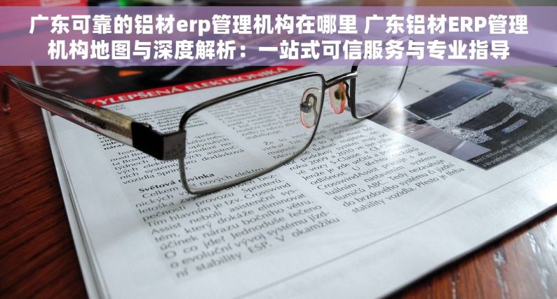 广东可靠的铝材erp管理机构在哪里 广东铝材ERP管理机构地图与深度解析：一站式可信服务与专业指导