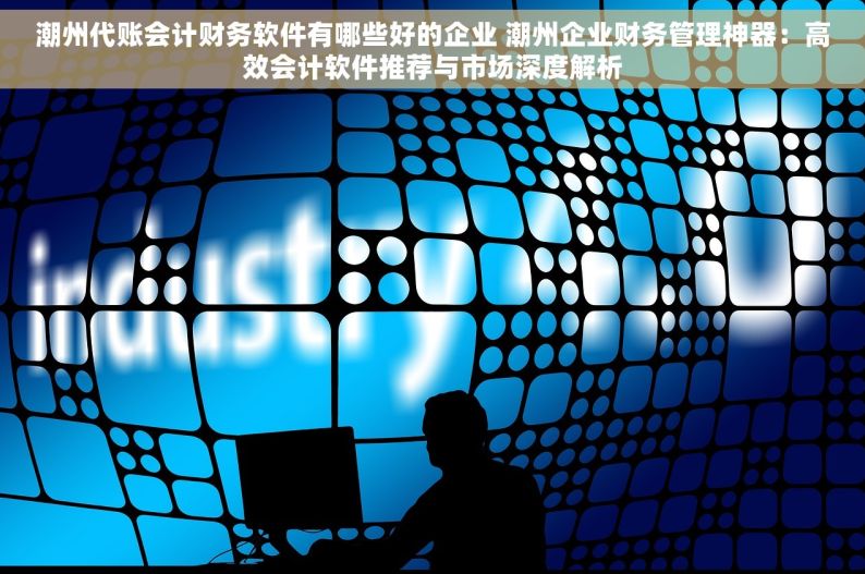 潮州代账会计财务软件有哪些好的企业 潮州企业财务管理神器：高效会计软件推荐与市场深度解析