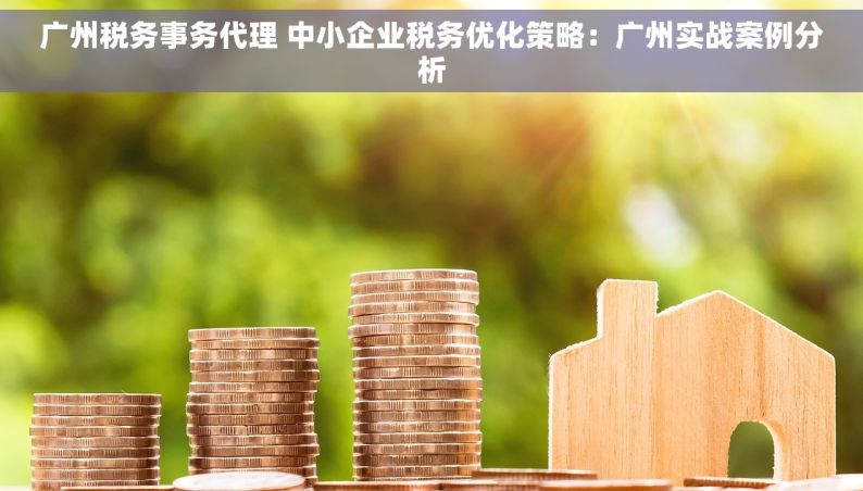 广州税务事务代理 中小企业税务优化策略：广州实战案例分析