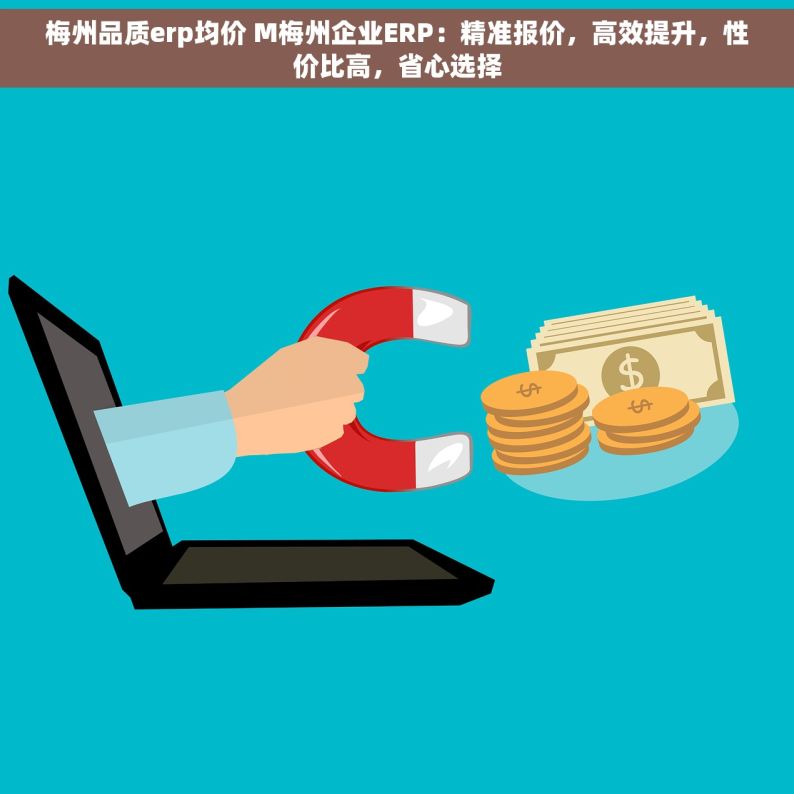 梅州品质erp均价 M梅州企业ERP：精准报价，高效提升，性价比高，省心选择