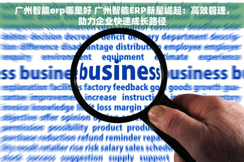 广州智能erp哪里好 广州智能ERP新星崛起：高效管理，助力企业快速成长路径