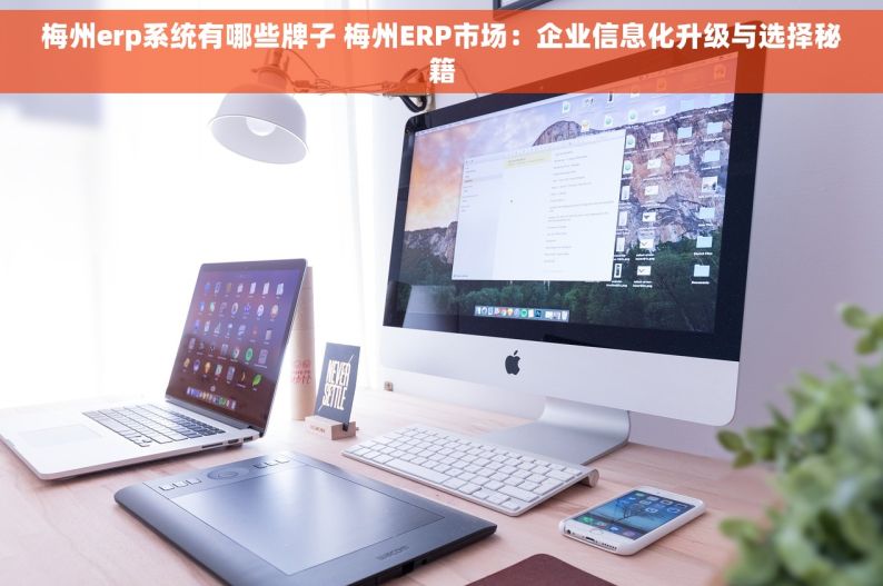 梅州erp系统有哪些牌子 梅州ERP市场：企业信息化升级与选择秘籍