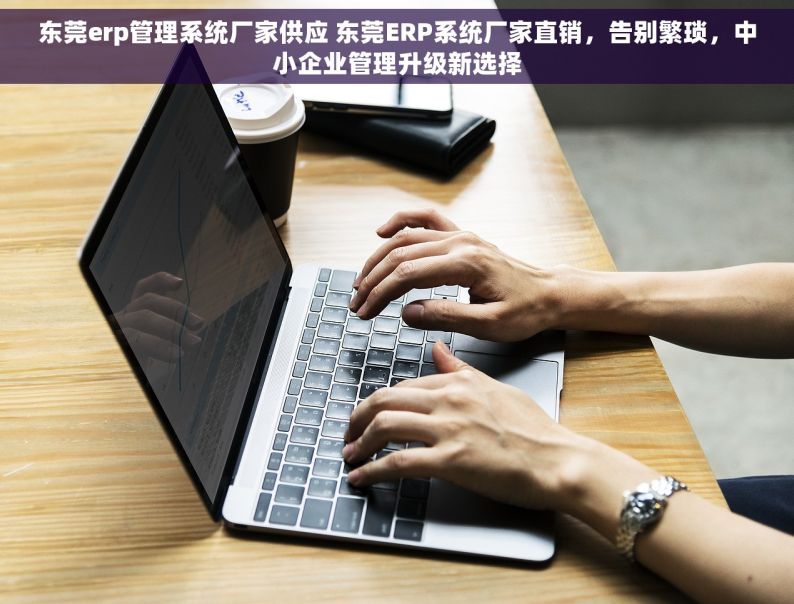 东莞erp管理系统厂家供应 东莞ERP系统厂家直销，告别繁琐，中小企业管理升级新选择