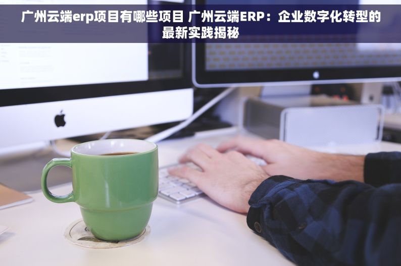 广州云端erp项目有哪些项目 广州云端ERP：企业数字化转型的最新实践揭秘