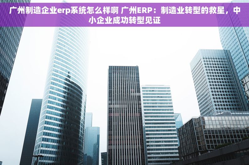 广州制造企业erp系统怎么样啊 广州ERP：制造业转型的救星，中小企业成功转型见证