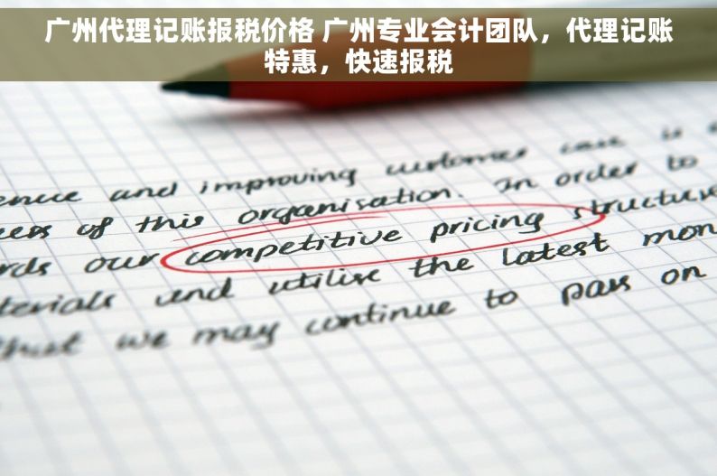 广州代理记账报税价格 广州专业会计团队，代理记账特惠，快速报税