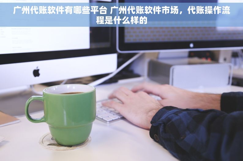 广州代账软件有哪些平台 广州代账软件市场，代账操作流程是什么样的