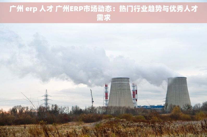 广州 erp 人才 广州ERP市场动态：热门行业趋势与优秀人才需求
