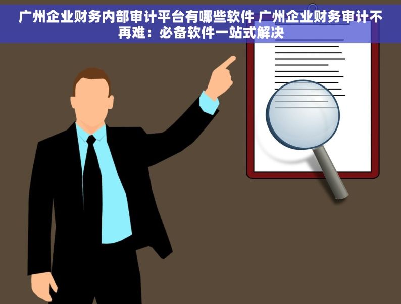 广州企业财务内部审计平台有哪些软件 广州企业财务审计不再难：必备软件一站式解决