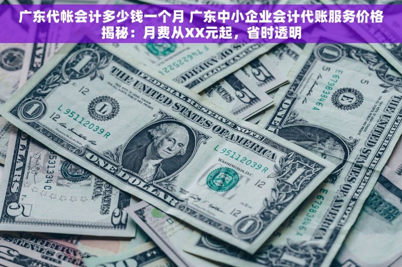广东代帐会计多少钱一个月 广东中小企业会计代账服务价格揭秘：月费从XX元起，省时透明