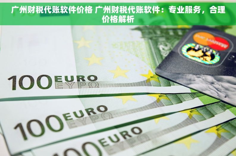 广州财税代账软件价格 广州财税代账软件：专业服务，合理价格解析