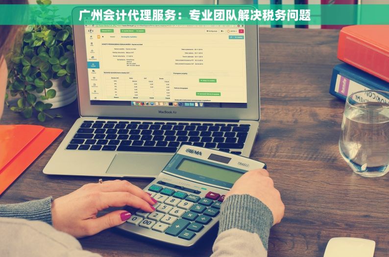 广州会计代理服务：专业团队解决税务问题