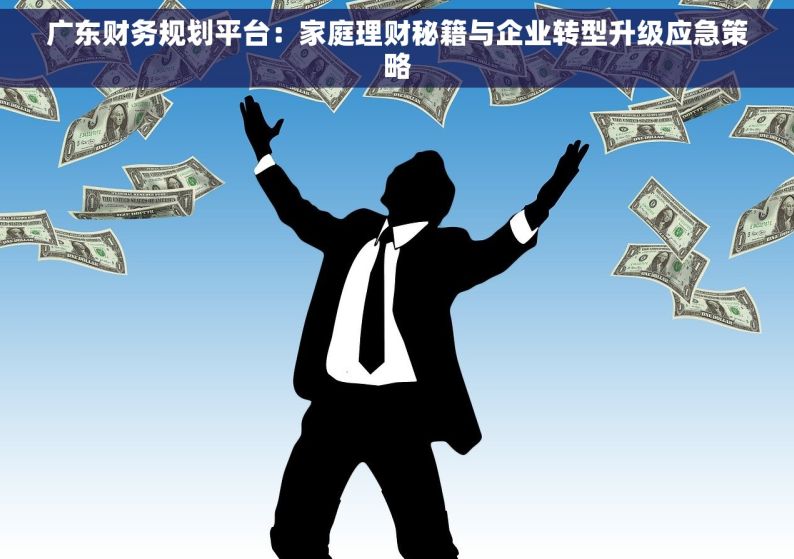 广东财务规划平台：家庭理财秘籍与企业转型升级应急策略