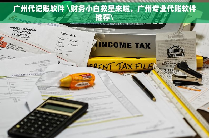 广州代记账软件 \财务小白救星来啦，广州专业代账软件推荐\