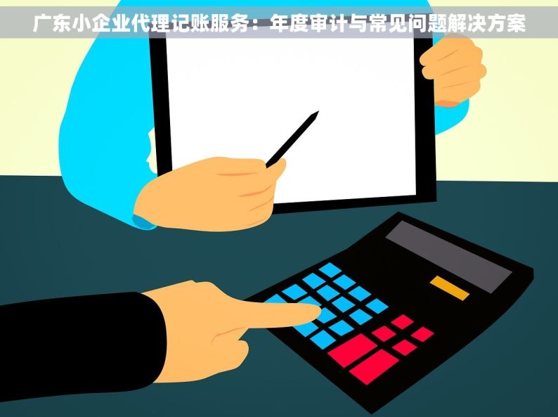 广东小企业代理记账服务：年度审计与常见问题解决方案