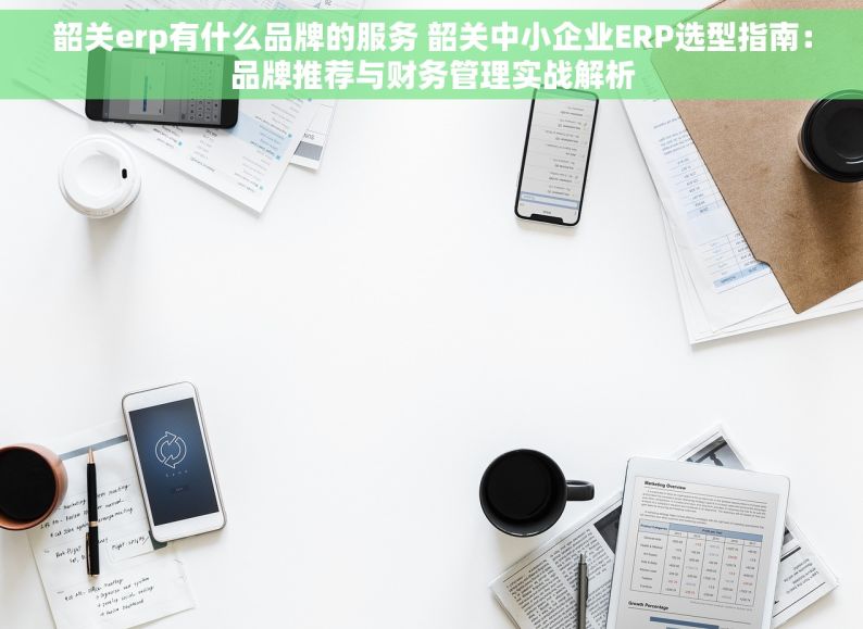韶关erp有什么品牌的服务 韶关中小企业ERP选型指南：品牌推荐与财务管理实战解析