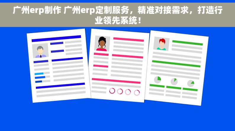 广州erp制作 广州erp定制服务，精准对接需求，打造行业领先系统！