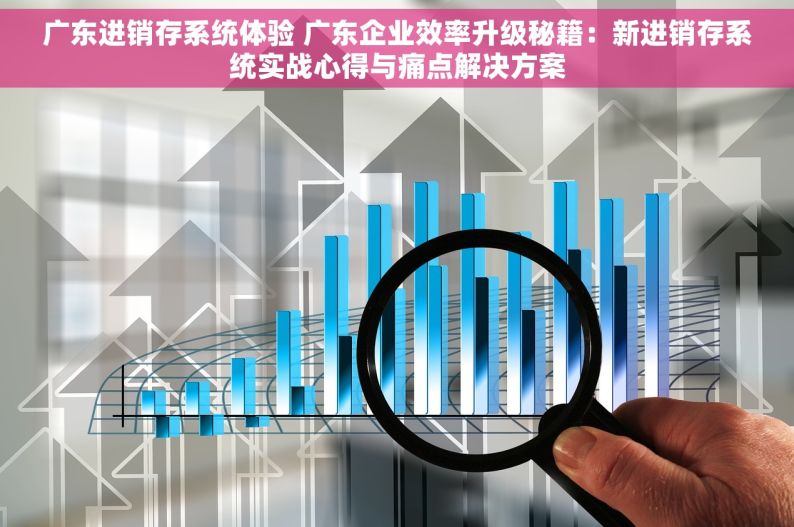 广东进销存系统体验 广东企业效率升级秘籍：新进销存系统实战心得与痛点解决方案
