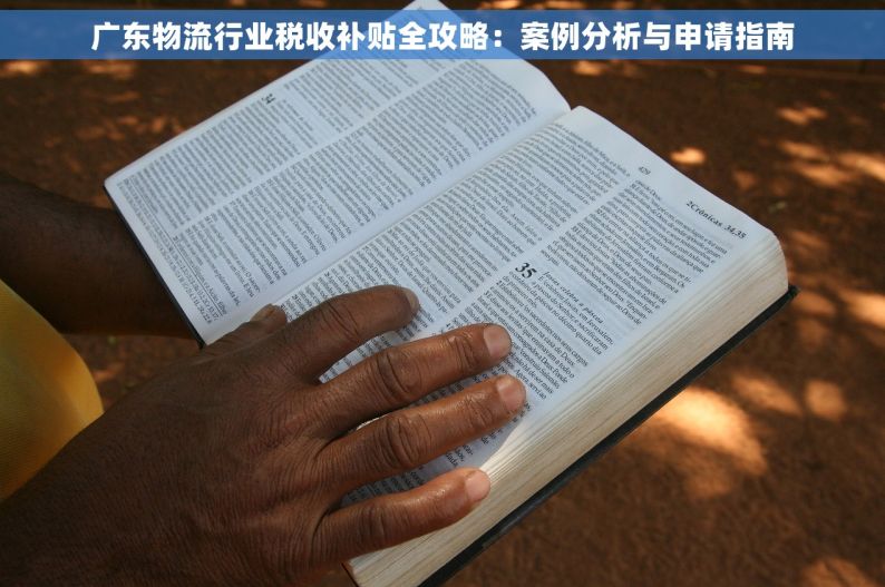 广东物流行业税收补贴全攻略：案例分析与申请指南