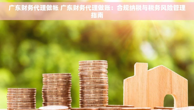 广东财务代理做帐 广东财务代理做账：合规纳税与税务风险管理指南