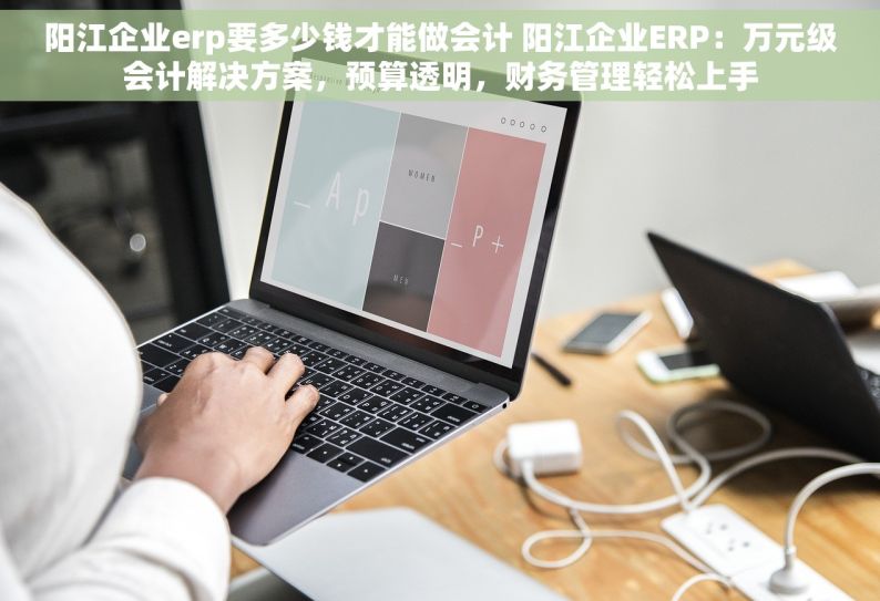 阳江企业erp要多少钱才能做会计 阳江企业ERP：万元级会计解决方案，预算透明，财务管理轻松上手