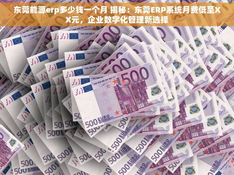 东莞能源erp多少钱一个月 揭秘：东莞ERP系统月费低至XX元，企业数字化管理新选择