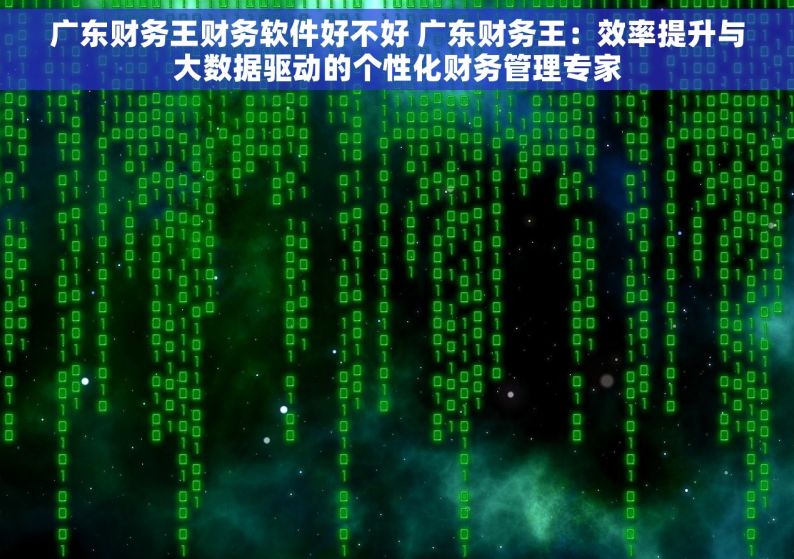广东财务王财务软件好不好 广东财务王：效率提升与大数据驱动的个性化财务管理专家